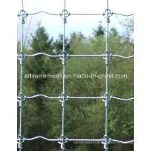 Hot Sale Fixed Knoted Fence, Deer Fence, Horse Fence